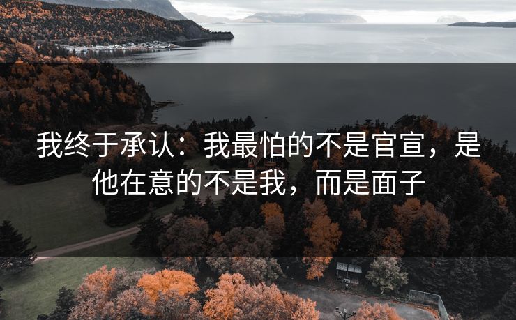 我终于承认：我最怕的不是官宣，是他在意的不是我，而是面子