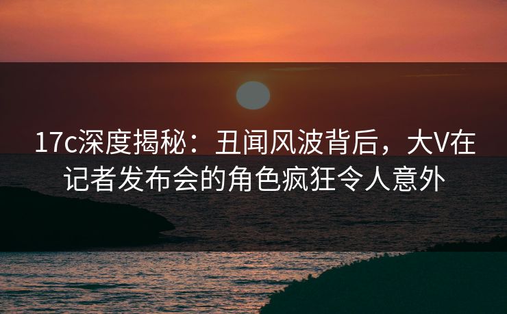 17c深度揭秘：丑闻风波背后，大V在记者发布会的角色疯狂令人意外