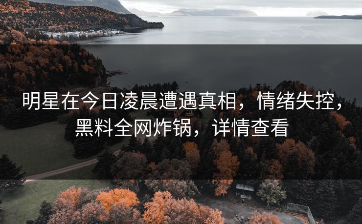 明星在今日凌晨遭遇真相，情绪失控，黑料全网炸锅，详情查看