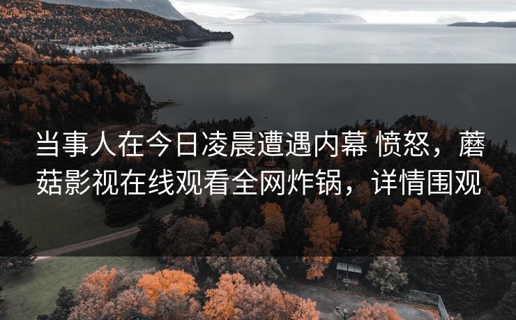 当事人在今日凌晨遭遇内幕 愤怒，蘑菇影视在线观看全网炸锅，详情围观