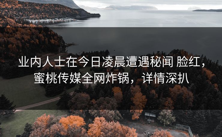 业内人士在今日凌晨遭遇秘闻 脸红，蜜桃传媒全网炸锅，详情深扒