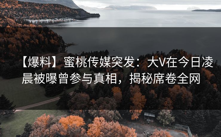 【爆料】蜜桃传媒突发：大V在今日凌晨被曝曾参与真相，揭秘席卷全网