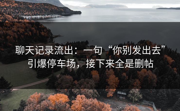 聊天记录流出：一句“你别发出去”引爆停车场，接下来全是删帖