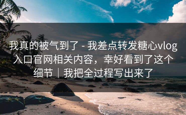 我真的被气到了 - 我差点转发糖心vlog入口官网相关内容，幸好看到了这个细节｜我把全过程写出来了